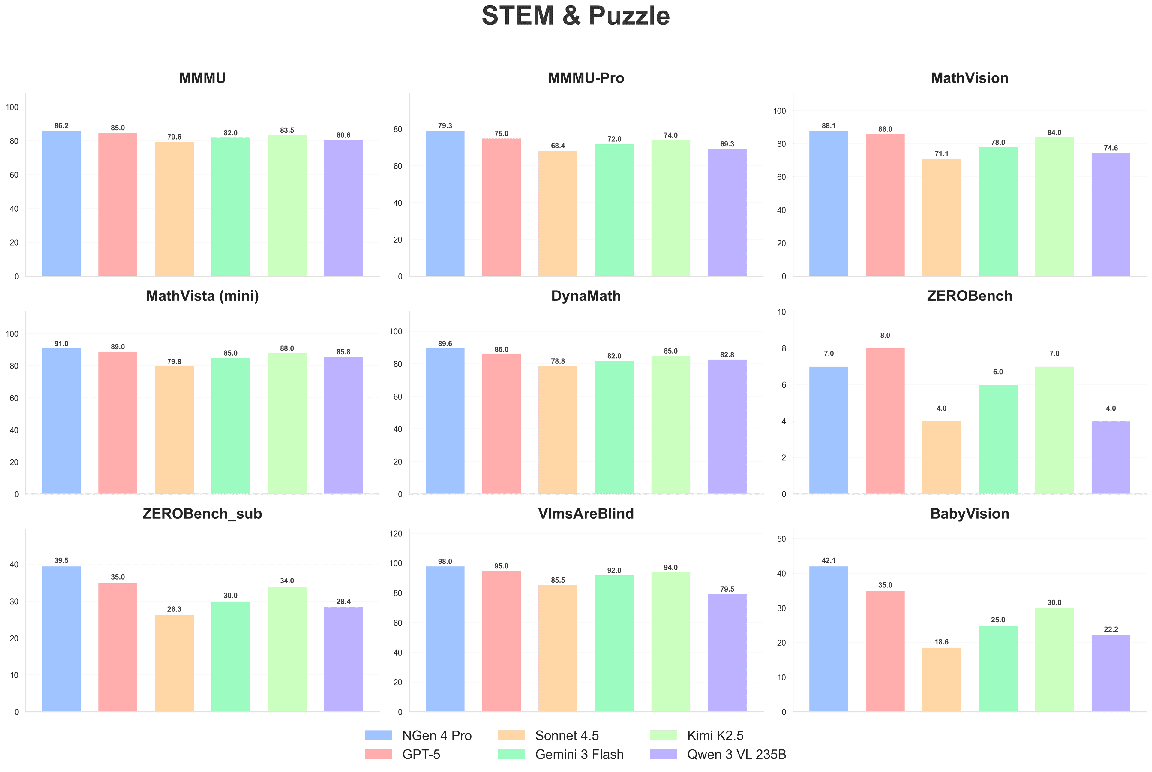 STEM & Puzzle